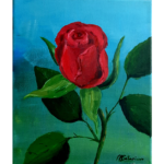 Red Rose