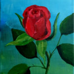 Red Rose